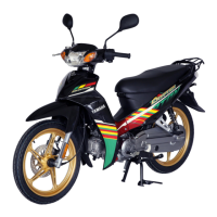 Preview: Yamaha CRYPTON T110C