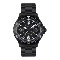 Preview: Sinn 856