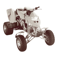 Preview: BOMBARDIER DS 650 2001