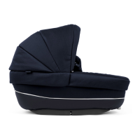 Preview: Martinelli Navicella