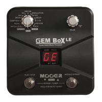 Preview: Mooer GEM Box