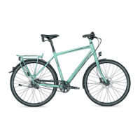 Preview: Raleigh Pedelec Impulse