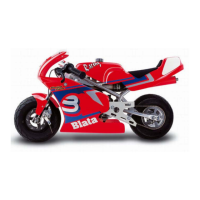 Preview: Blata Minibike 2.5