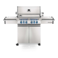 Preview: Napoleon PRO 500