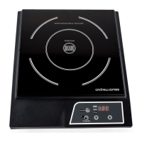 Preview: Single Induction Hob
