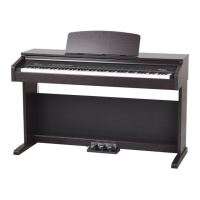 Preview: Medeli DP250