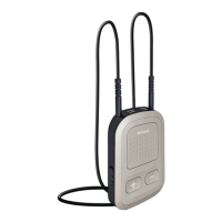 Preview: Phonak ComPilot II