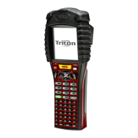 Preview: AML Triton