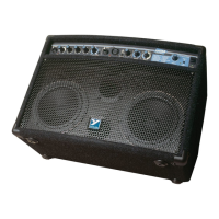 Preview: YORKVILLE Acoustic Master AM100