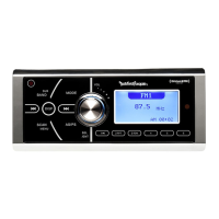 Preview: Rockford Fosgate RFX9901DM2