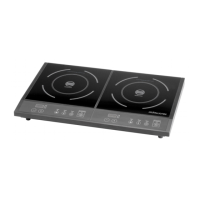 Preview: Double Induction Cooker