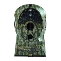 Preview: ScoutGuard SG550-12mHD