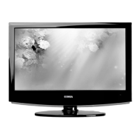 Preview: CONIA CL1901HDVDR