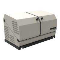 Preview: Champion 100199