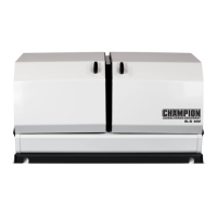 Preview: Champion 100199