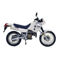 Preview: Honda NX 250