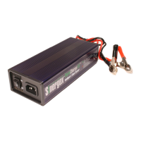 Preview: Sinergex PureCharge
