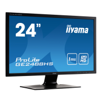 Preview: Iiyama ProLite GE2488HS