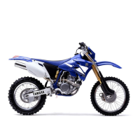 Preview: Yamaha WR450F 2-TRAC