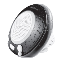 Preview: Brookstone 850022