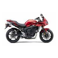Preview: Yamaha 2007 FZ6-NA