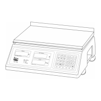 Preview: Acom AC-100