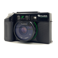 Preview: FUJICA DL-100
