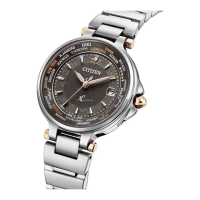 Preview: Citizen H240