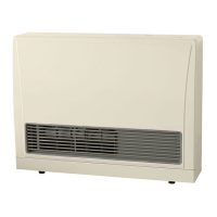 Preview: Rinnai EX17