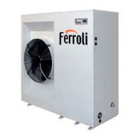 Preview: Ferroli RXA 6.1