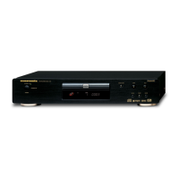 Preview: Marantz DV3100