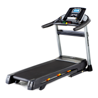 Preview: NordicTrack T17.5