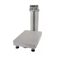 Preview: CAS Scale ND 300
