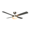 Fan Logo
