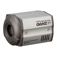 Preview: Ganz ZN-M2AF