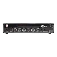 Preview: Eden E300