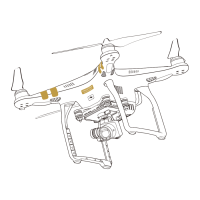 Preview: dji PHANTOM 3