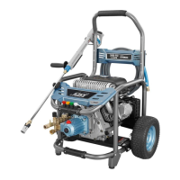 Preview: CAT Pumps CT80020