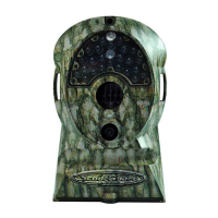 Preview: ScoutGuard SG550