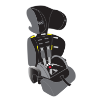 Preview: Dorel GM 2010
