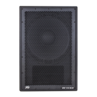 Preview: Peavey Dark Matter DM 115 Sub