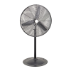 Fan Logo