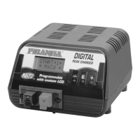 Preview: Duratrax Piranha