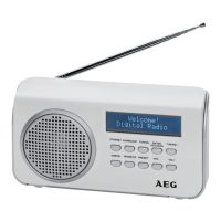 Preview: AEG DAB 4130