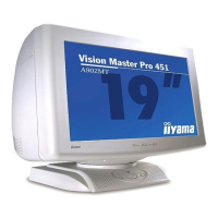 Preview: Iiyama Vision Master Pro 451
