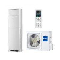 Preview: Haier AP48DS1ERA