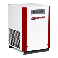 Preview: Champion CRN25