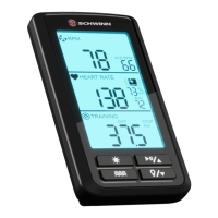 Preview: Schwinn Cadence Pro
