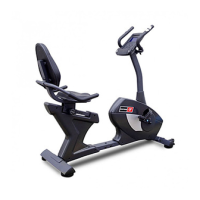 Preview: Bodyworx AR350P