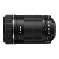 Preview: EF-S55-250mm f/4-5.6 IS STM